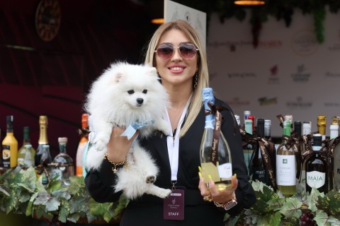 Szőlő- és Borfesztivál nyílt Azerbajdzsán Samahijában – FOTÓ