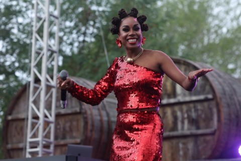 Szőlő- és Borfesztivál nyílt Azerbajdzsán Samahijában – FOTÓ