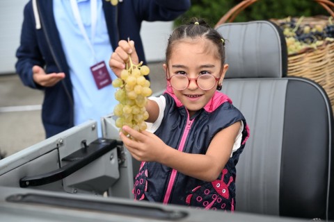 Szőlő- és Borfesztivál nyílt Azerbajdzsán Samahijában – FOTÓ