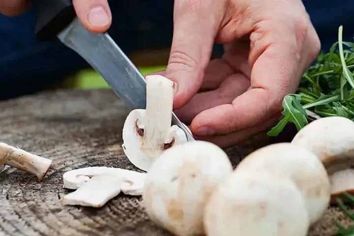 Magyarország és Franciaország Azerbajdzsán fő gombamicélium-beszállítóivá váltak