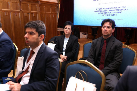 Elfogadták az Azerbajdzsáni Diaszpórára vonatkozó Közös Cselekvési Tervet