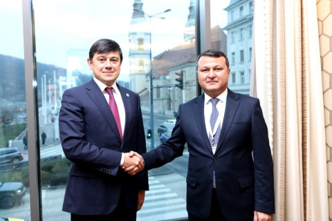 Az Azerbajdzsáni diaszpóra tapasztalatait nagyra értékelték