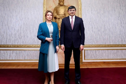 Az azerbajdzsáni diaszpóraszervezetek vezetőivel a jövőbeli tervekről egyeztettek